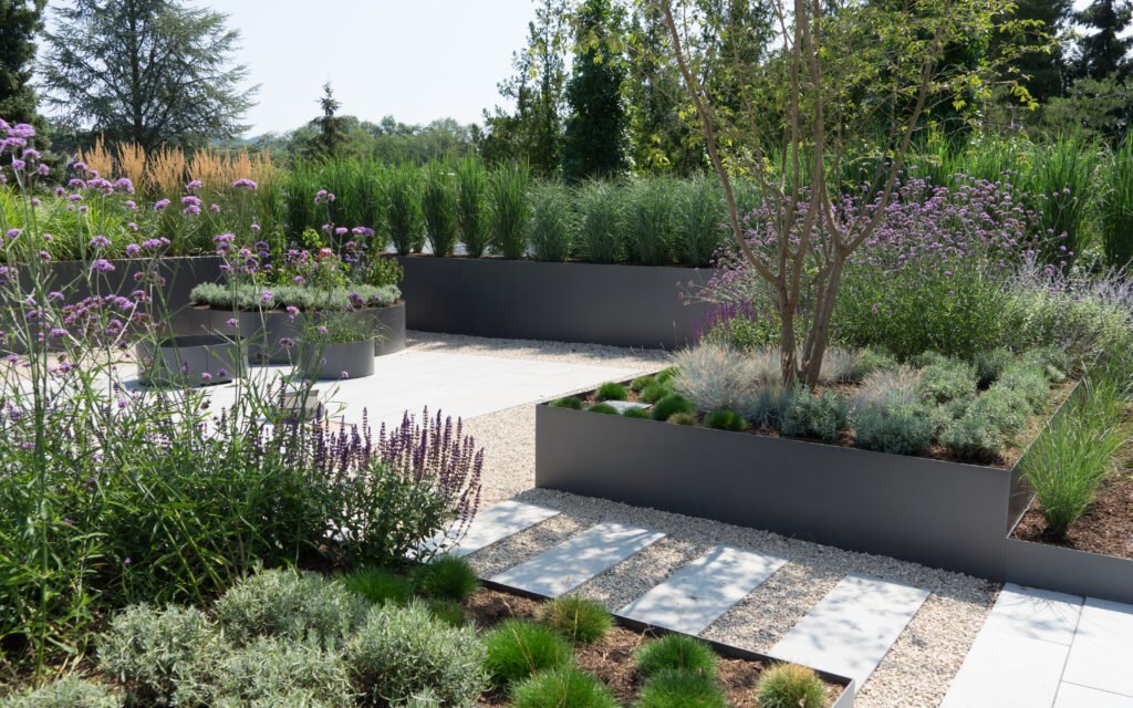Contemporary garden design with raised planters and paved areas
